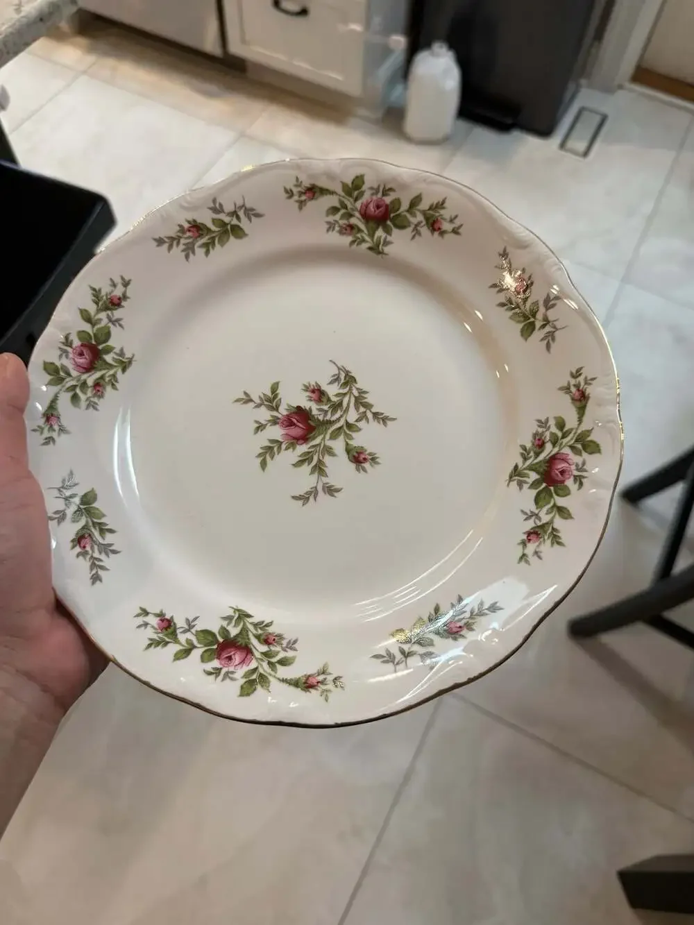 Vintage Johann Haviland Moss Rose Porcelain Dinner Plates Set of 6 - Cottagecore